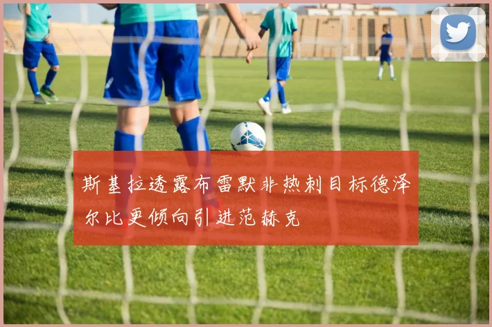 斯基拉透露布雷默非热刺目标德泽尔比更倾向引进范赫克