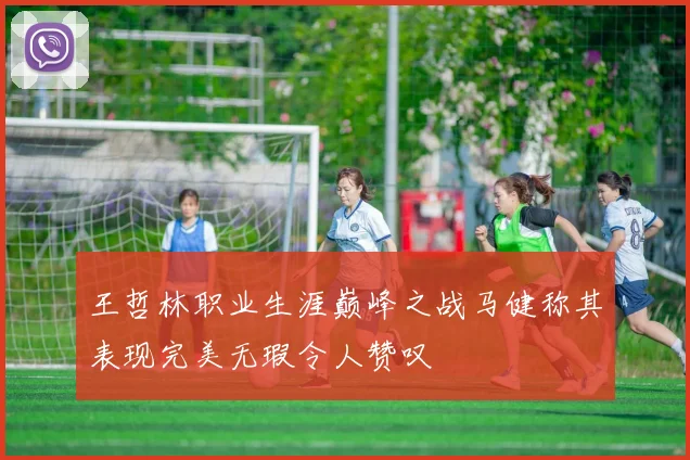 王哲林职业生涯巅峰之战马健称其表现完美无瑕令人赞叹