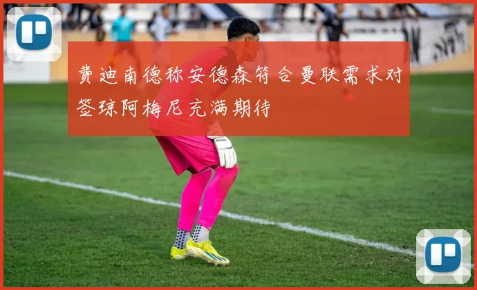 费迪南德称安德森符合曼联需求对签琼阿梅尼充满期待